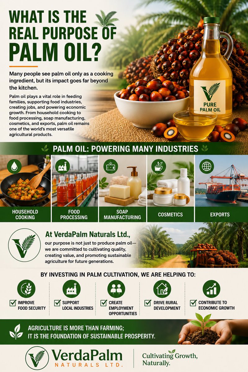 Verdapalm402's tweet photo. What Is the Real Purpose of Palm Oil?

Many people see palm oil only as a cooking ingredient, but its impact goes far beyond the kitchen…. #VerdaPalmNaturals #PalmOil #Agribusiness #Agriculture https://t.co/9GszjKiXKA