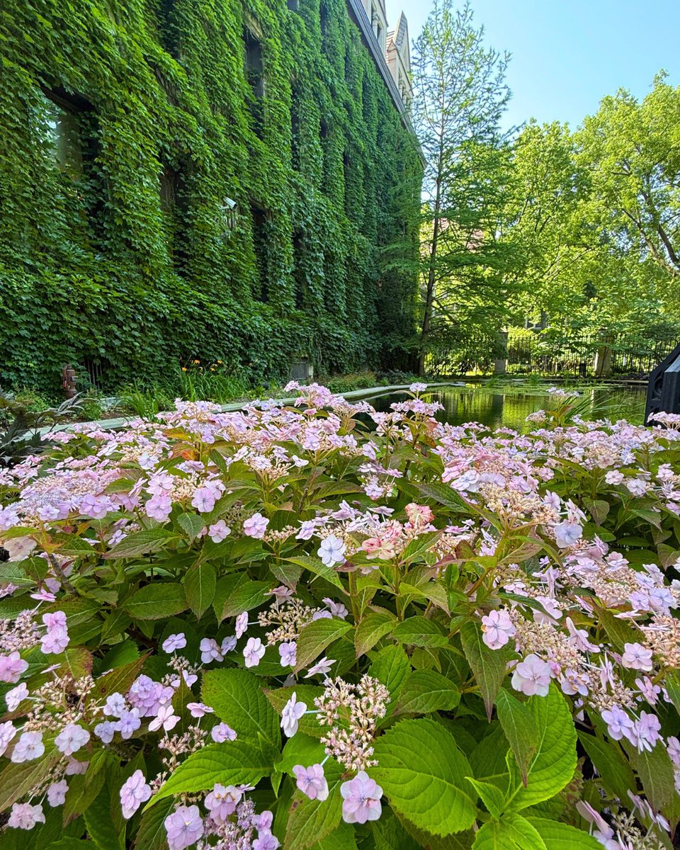 The University of Chicago tweet media