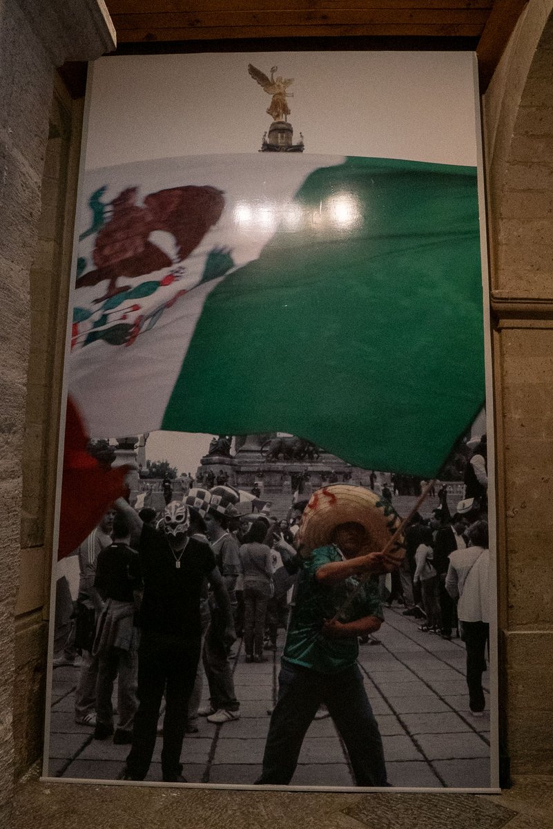 ColegioNal_mx's tweet photo. "Las derrotas dolorosas como la de México ofrecen una rara compensación. Sufrimos porque ese equipo en verdad nos importaba. Cayó sin que dejáramos de admirarlo" @JuanVilloro56 en @el_pais.  

¿Te interesa? Consúltalo aquí: https://t.co/EvJbvDEXai https://t.co/dOSLXvg5Jl
