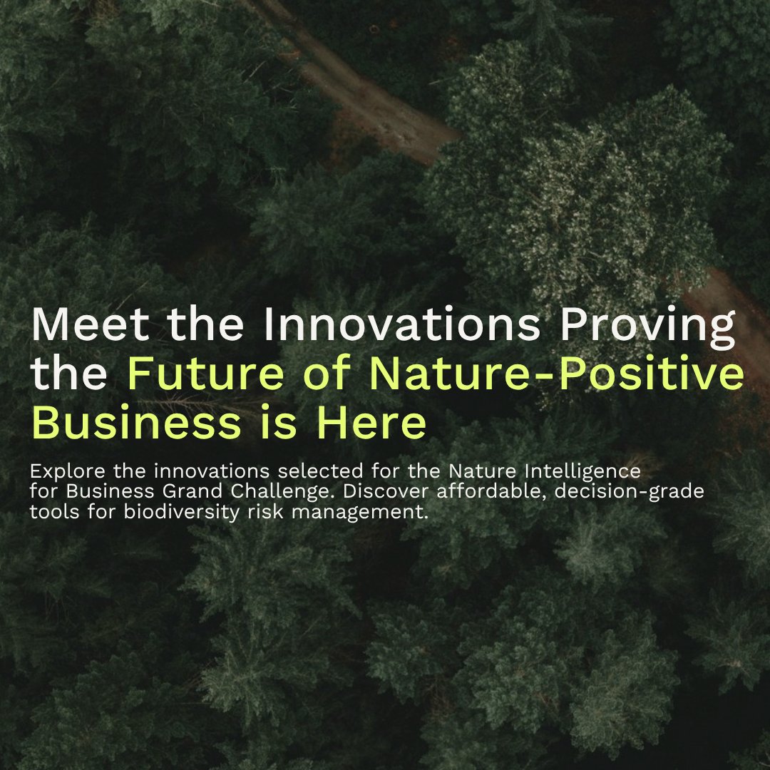 conservationx's tweet photo. The future of nature-positive business is already here.

Meet the innovations from the Nature Intelligence for Business Grand Challenge—affordable, decision-grade tools helping SMEs understand and manage biodiversity impacts.

Explore the deep dives: https://t.co/J2W3nbhScl https://t.co/Yyv0Ry3ess