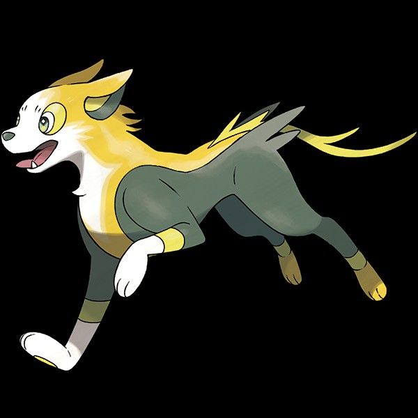 vaeisaloser's tweet photo. I ❤️ dog Pokémon #pokemon https://t.co/YI4p2fDWg9
