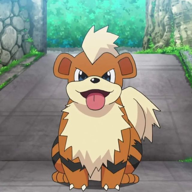 vaeisaloser's tweet photo. I ❤️ dog Pokémon #pokemon https://t.co/YI4p2fDWg9