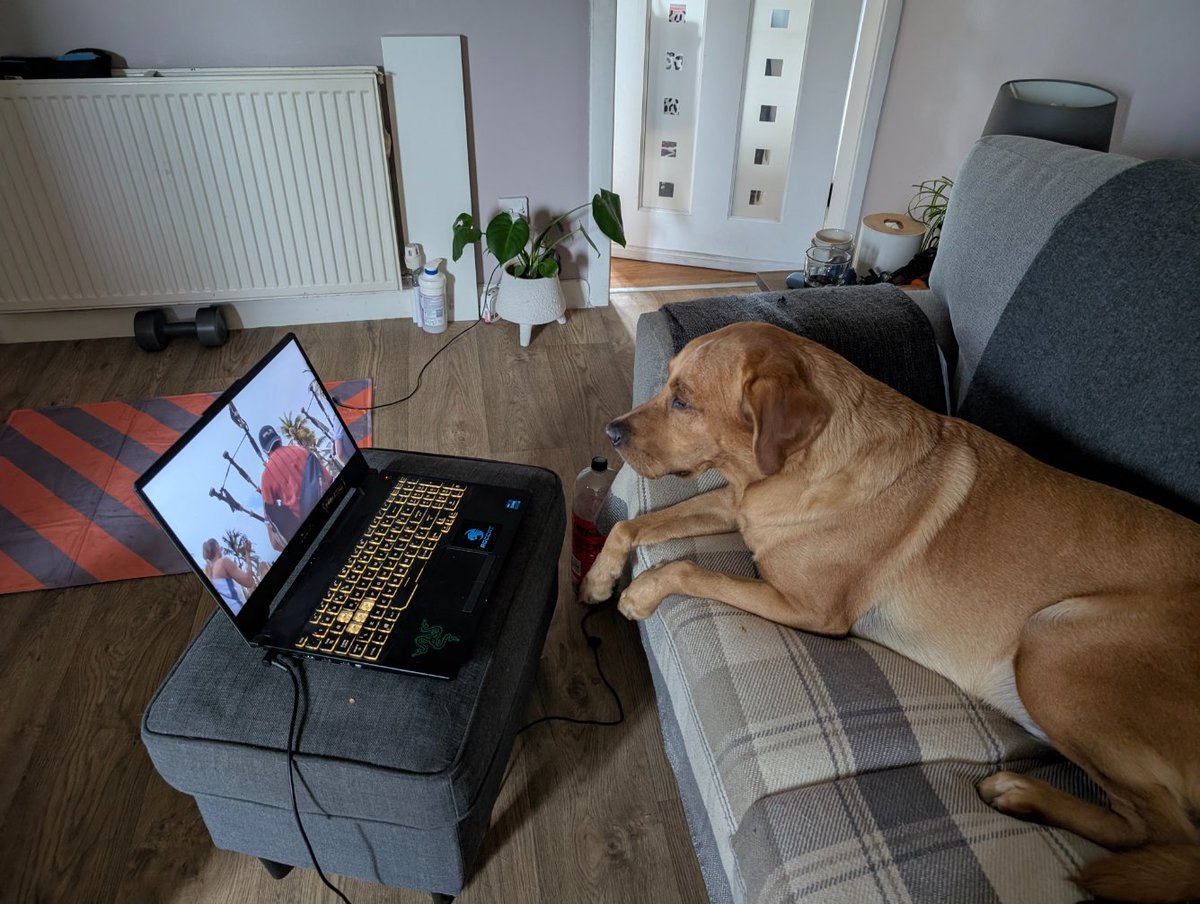 We_Fear_Nothing's tweet photo. @LetsdocoffeeC I'm not too bad thanks, been staying at sisters dog sitting for the last week and a half while also working. He stole my seat when I had to go pee the other day 🤣🤣

Slow and steady is best, ease yourself into things in a way that works for you 😘😀 https://t.co/XaqbPuULJh
