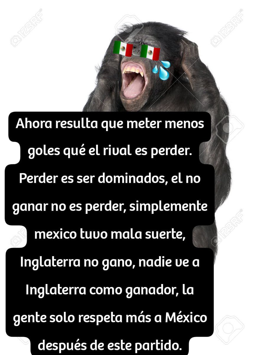 ProfugoAlcatraz's tweet photo. @martinelliBless Se que es broma pero me preguntó quién habrá escrito toda esa monda xdd https://t.co/J04yEIpRW7