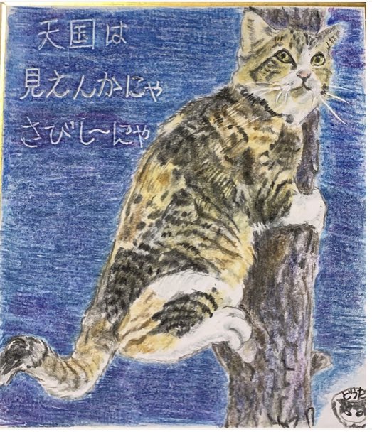 NEKOdo_dai's tweet photo. 一番下っ端
だったのに
みんにゃ
逝って
今じゃ
ボス猫に
にゃっちったよー https://t.co/ueiaceL6yg