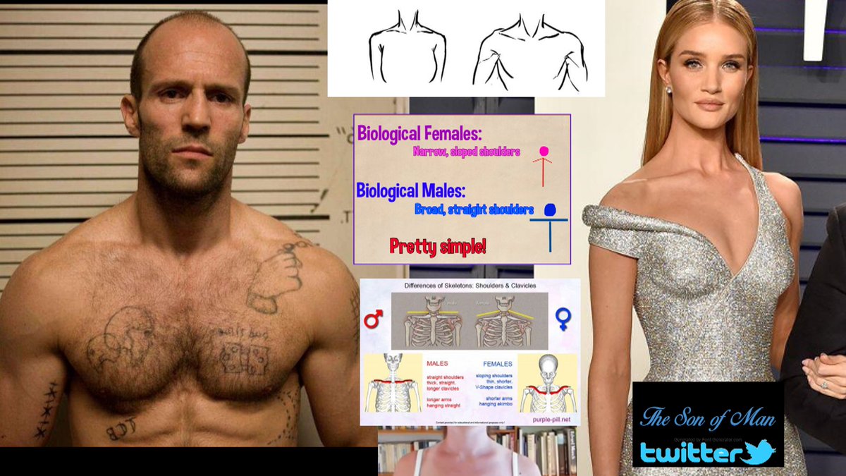 TheSono71468392's tweet photo. Shoulders....
- Flat and Broad = Male
- Sloping and Narrow = Female https://t.co/8SN3QEMOtI