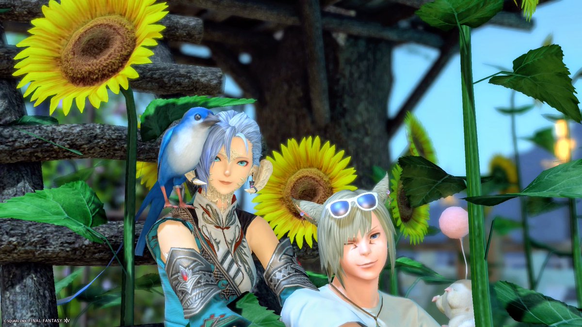 Nagi__ff's tweet photo. 今日も今日とて夜ふかしさん
ボズヤとAVDと、あと地図もお邪魔したわね〜！
マイカザムーも初めて見られましたわ！
今日もお疲れ様〜！ありがとう(∩˘꒳˘∩ )゛ https://t.co/rI2NSidYJA