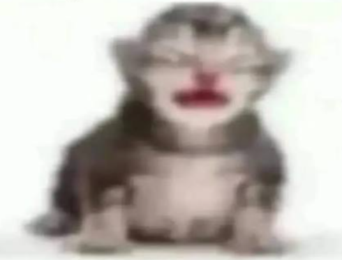 tsukasaesdeaqua's tweet photo. Los "quiero una minita loca" cuando ven el anime de una mina con problemas mentales y que lo retrata como es y no de una forma fetichista como a ellos les gusta https://t.co/xXU3yGaAV6