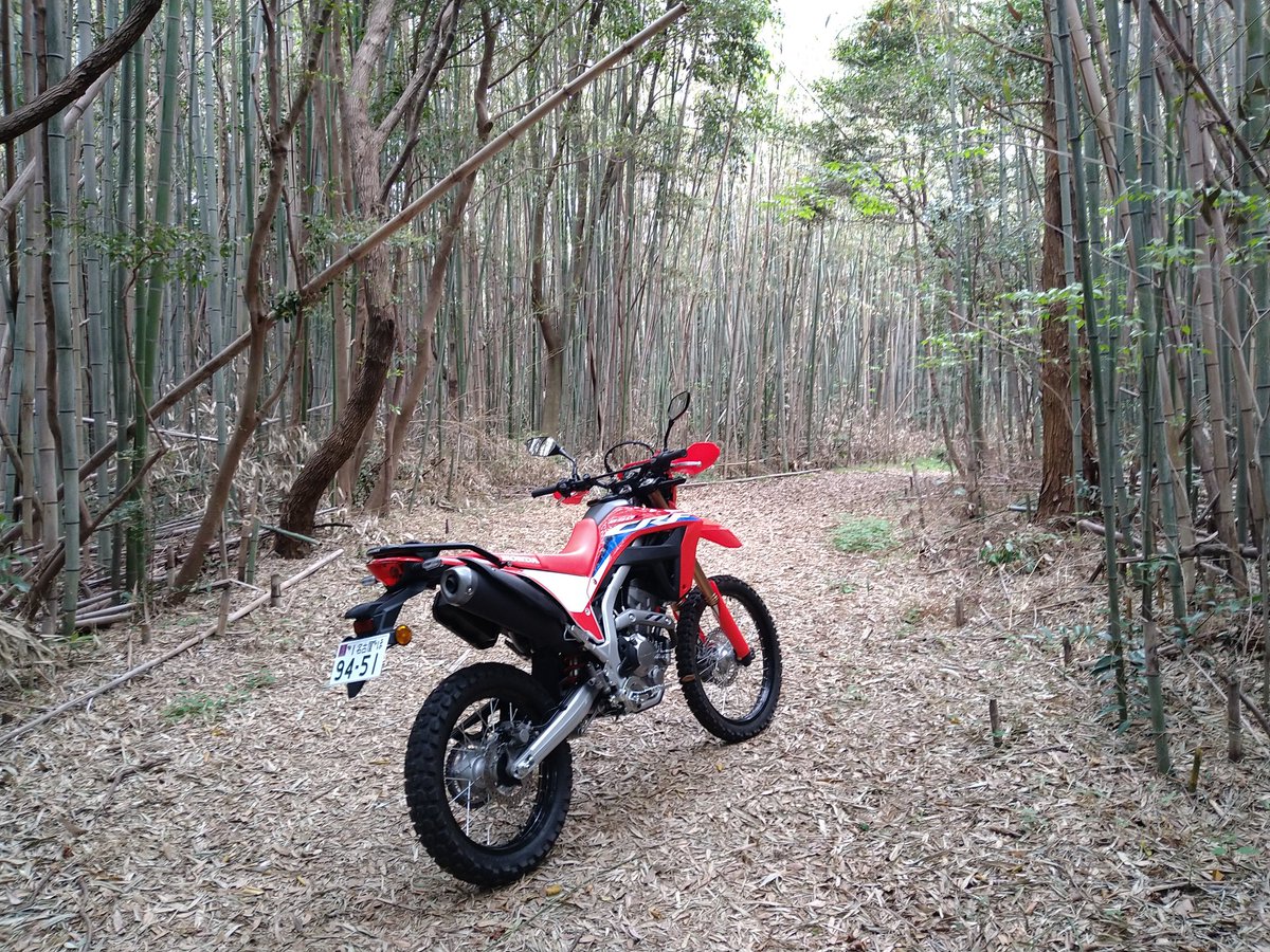 ogu345's tweet photo. おはようございます。
火曜日になりました〜！今日からまた暑くなりそうですね。水分補給してそこそこに頑張りましょ〜！ https://t.co/S576ijfDPO