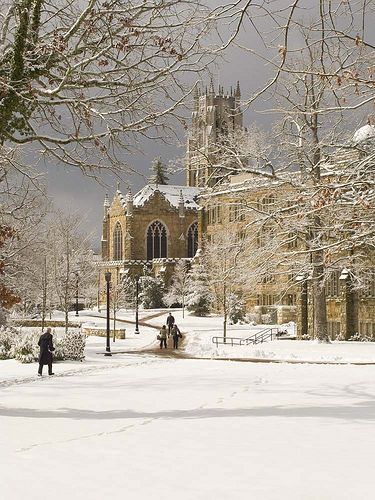d08890's tweet photo. this is, however, all a distraction from what is objectively the most beautiful university campus in the united states, sewanee https://t.co/4IQsGlxCoU