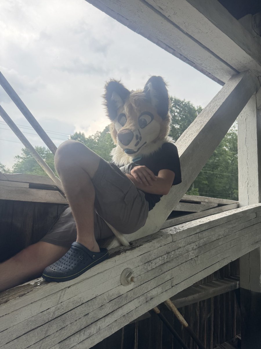 Acefoxmantrum's tweet photo. I’m hiding from the rain 🌧️🌧️🌧️ 

🪡:@Frozencalico 
#Fursuit #FursuitEverday #Furry https://t.co/LtEwmM5aQ8