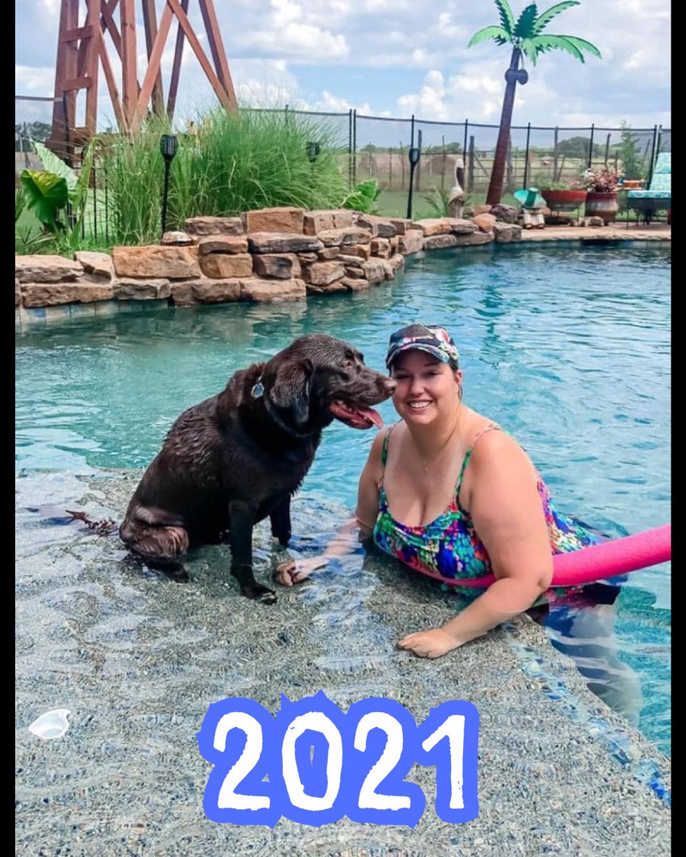 sunnystrongals's tweet photo. 10 years of Baloo Bear! We’re getting grey these days but he’s still as goofy and loving as ever 🥰 

#baloobear #chocolatelab #servicedogdropout #goodestboy #birthdaypup https://t.co/mkRYM1QFS0