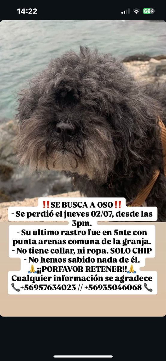 todopormiperro's tweet photo. https://t.co/cgX1sLdCyw