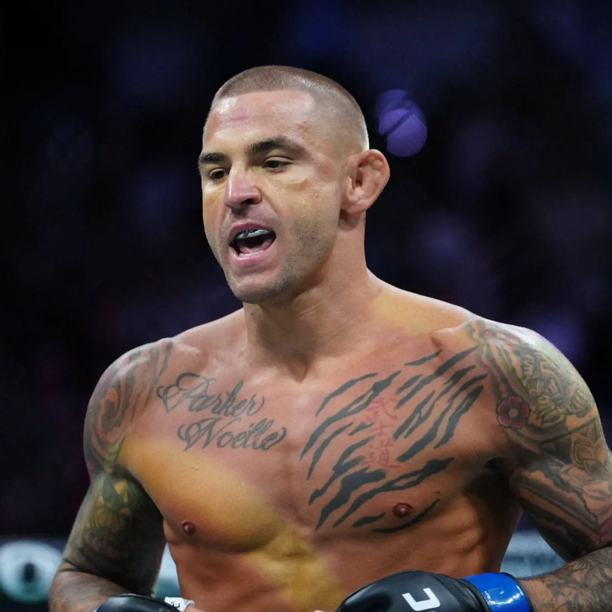 bpthaber's tweet photo. Eski UFC dövüşçüsü Dustin Poirier: "UFC ile sözleşmem hala devam ediyor. 

Doğru dövüş olursa kesinlikle geri dönerim. 

Muhtemelen Conor ile dövüşürüm." https://t.co/mJ03ScgpGB