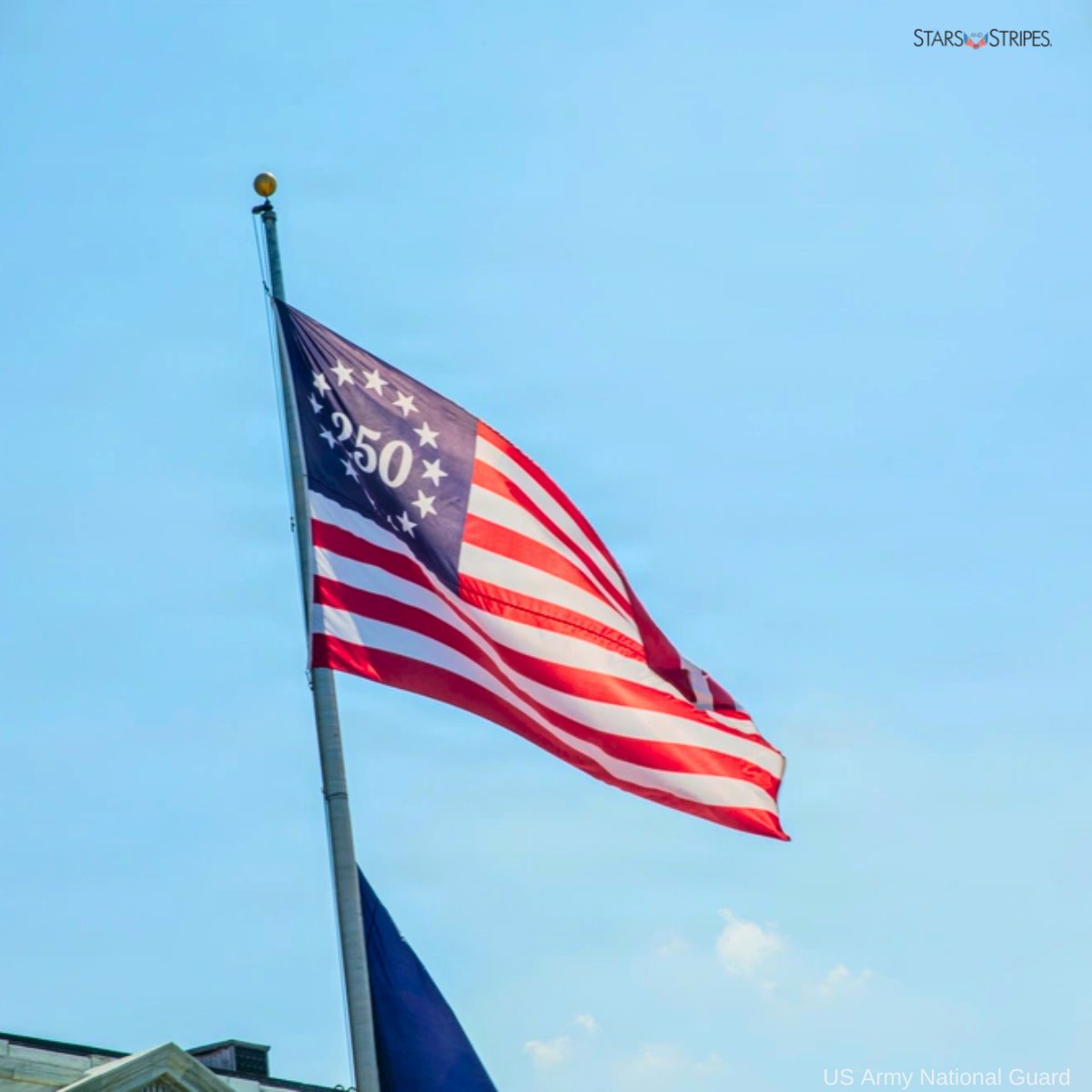 BuildFreedomUS tweet picture
