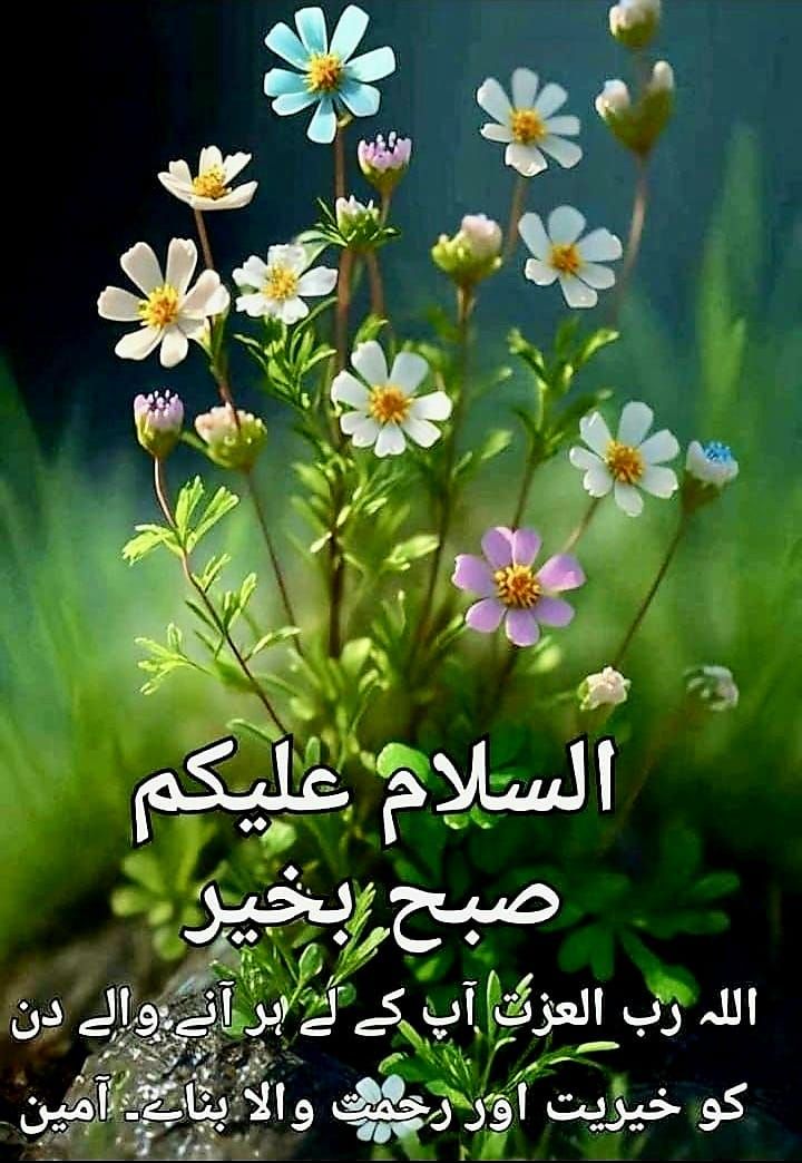Taurus8480's tweet photo. السلام علیکم
 ایک نئی صبح مبارک
خوش نصیب وہ نہیں جس کا نصیب اچھا ہو بلکہ خوش نصیب وہ ہے جو اپنے نصیب پر راضی ہو اللہ پاک آپ کے رزق اور عمر میں برکت دے
آمین ثم آمین یارب العالمین 🤲 https://t.co/4dxCl93FcN