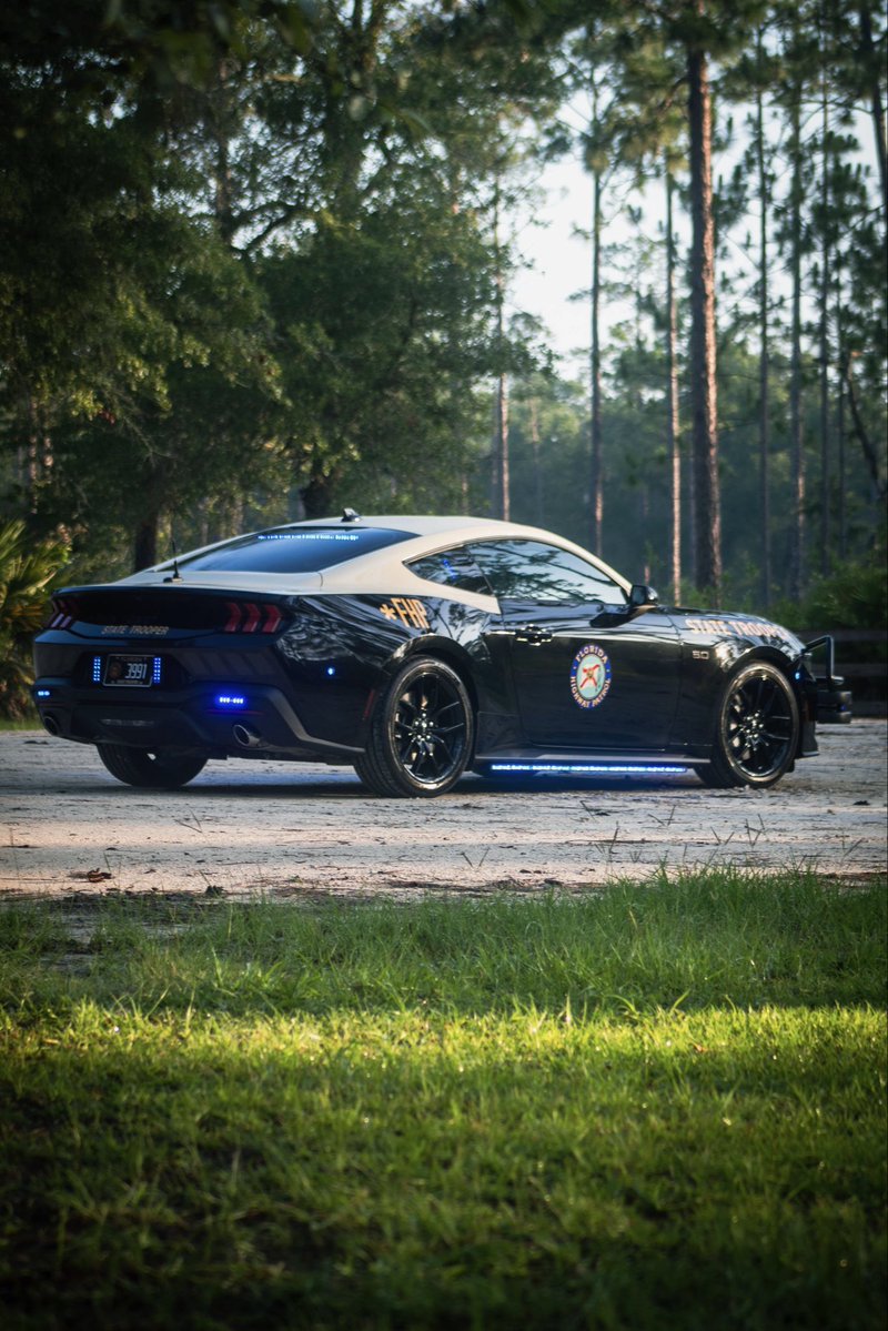 FLHSMV's tweet photo. You asked if these Mustangs do more than look good 😌 They get to work 💪💪

Tag a friend who has seen this view in their rear view mirror and tell them to VOTE FLORIDA for America’s Best Looking Cruiser contest! Visit https://t.co/rsOliLLVAZ to vote. 

#FHP #Florida #VoteFlorida https://t.co/VOWza5meVb