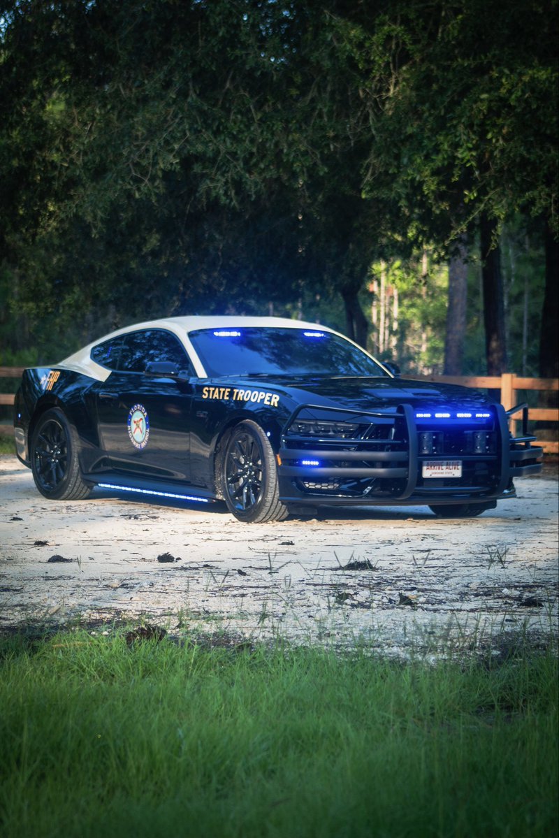 FLHSMV's tweet photo. You asked if these Mustangs do more than look good 😌 They get to work 💪💪

Tag a friend who has seen this view in their rear view mirror and tell them to VOTE FLORIDA for America’s Best Looking Cruiser contest! Visit https://t.co/rsOliLLVAZ to vote. 

#FHP #Florida #VoteFlorida https://t.co/VOWza5meVb