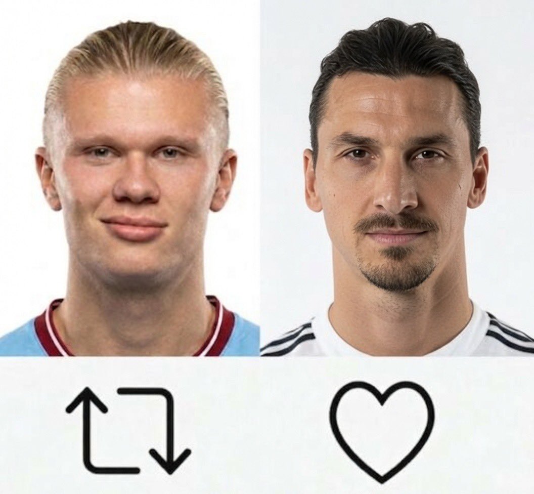 victorbellamyke's tweet photo. @Ibra_official Let’s settle this 
Robot or the king of the jungle https://t.co/TQWWjo1RLM