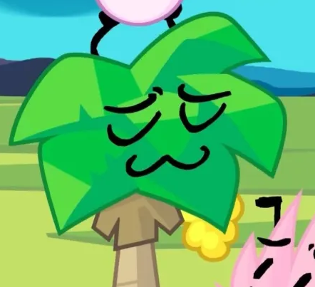 palmybfdi's tweet photo. @bfdimininatural @lit3rallylotus https://t.co/sRiwdlQ5xT