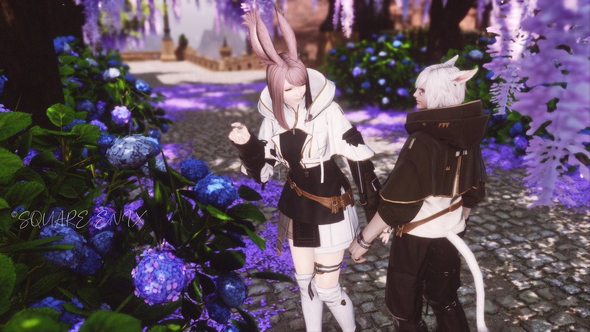 mi_963852740's tweet photo. #パンデモ並木 行ってきた✨
歩くだけで素敵な場所🥰
紫陽花もこもこ💕

#FF14 https://t.co/9FYUdHyeUh