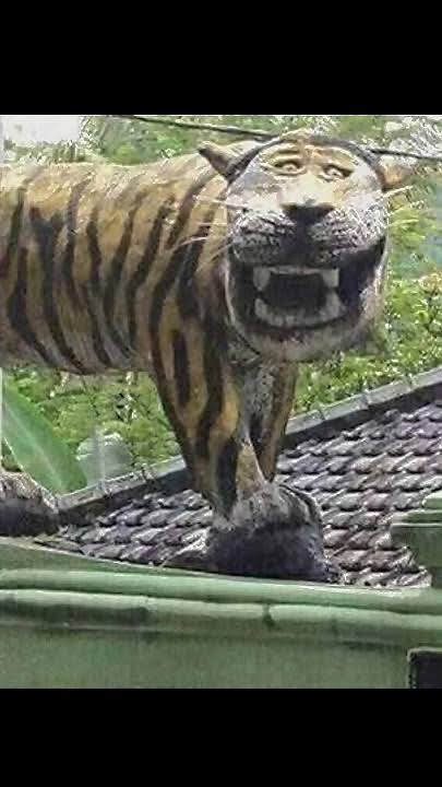crafasoul's tweet photo. @tanyakanrl Kucing jelek itu yang kayak gini nder https://t.co/LM6NW26cWE