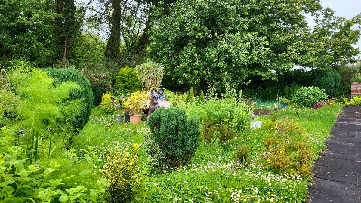 UnaMurphy18's tweet photo. @GWmag My paradise https://t.co/R6aWJNgYE1