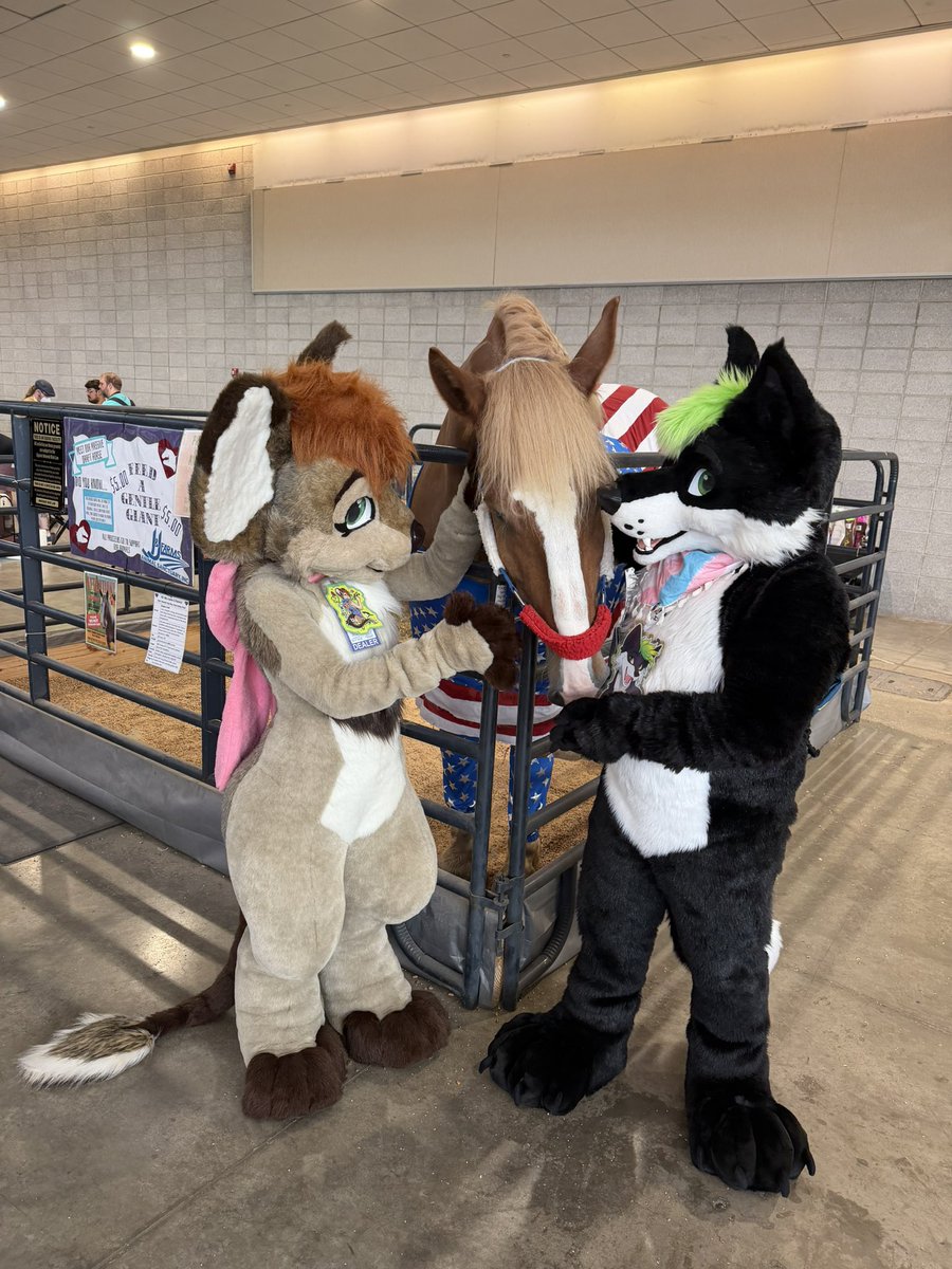 JerryWoof's tweet photo. AC was a blast always! HUGE dealers den this year and so wonderful to see friends again. https://t.co/xTIAHqh3rv