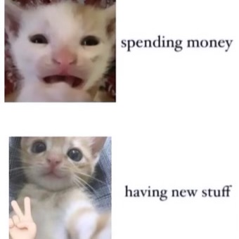 catsbeiingcats's tweet photo. https://t.co/9lY0wPE1Sn