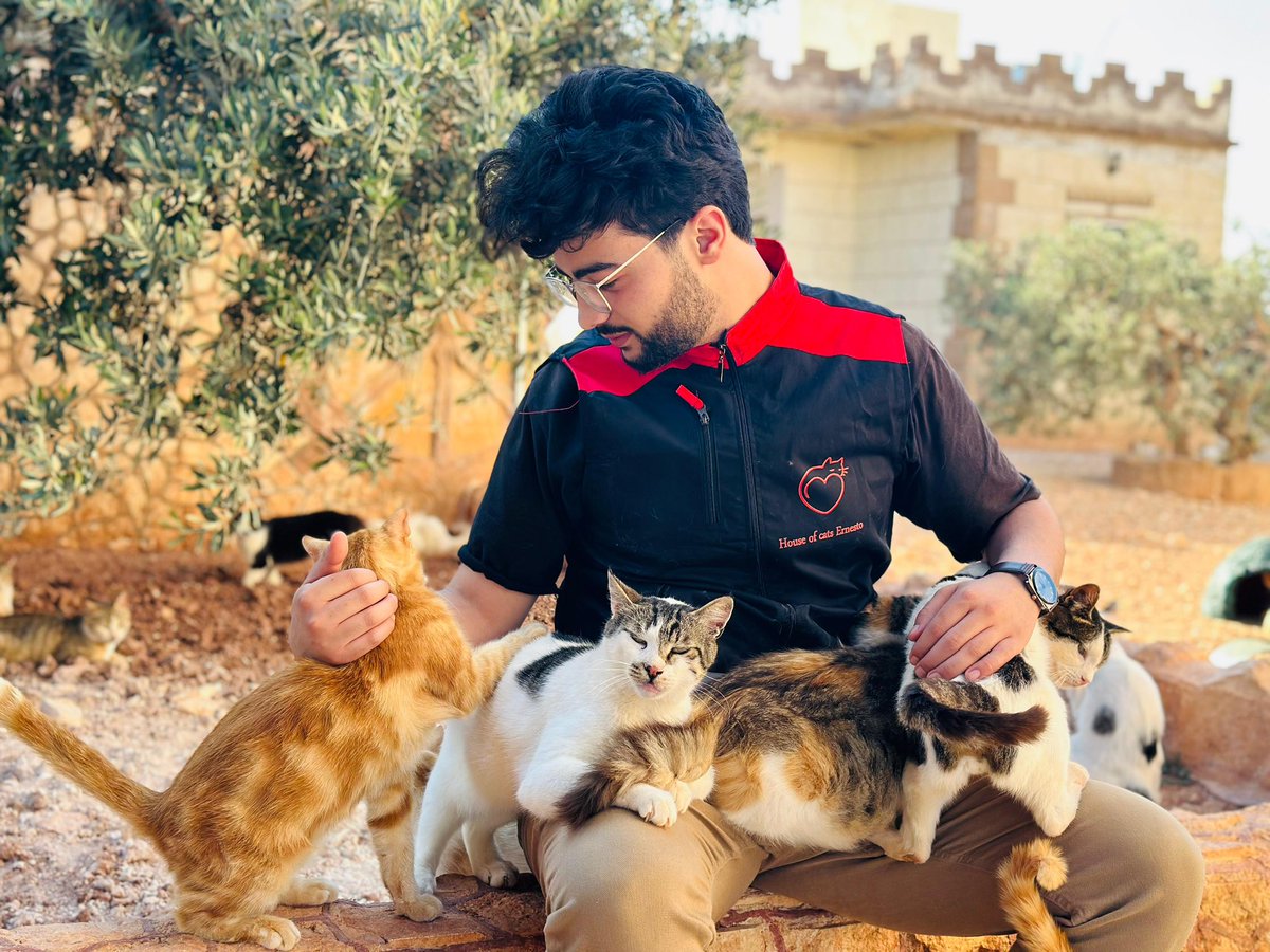theAleppoCatmen's tweet photo. Dear friends,
We are so happy to introduce you to Abdullah, Ernesto’s new Creative Storyteller and photographer 
He will be helping us share the stories you — our family, friends, donors, and supporters — most want to see and hear,so send us your ideas and suggestions that we can ask him to realize next weeks .

Every living creature has a story. Through his photos, videos, and storytelling, and our desire is to bring you closer to the animals, the people caring for them, and the heart of Ernesto’s Sanctuary.
So welcome to Abdullah and let’s hope to see the fruits of his talent soon , stay tuned and check every day our post to see what is going on.