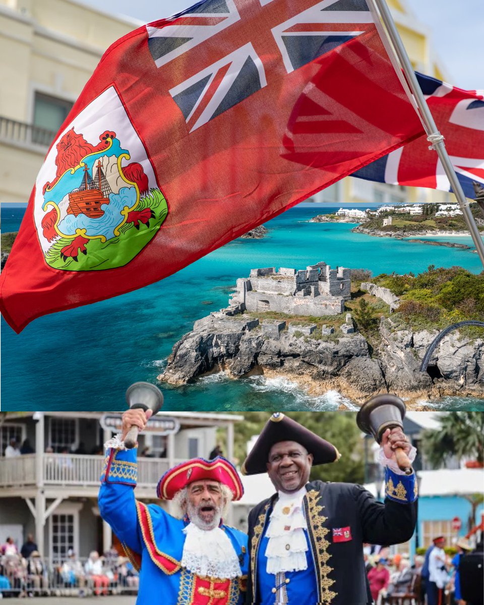Bermuda tweet media
