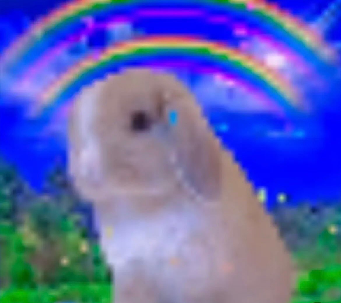 Bunnies's tweet photo. https://t.co/xDe3P7kf4z