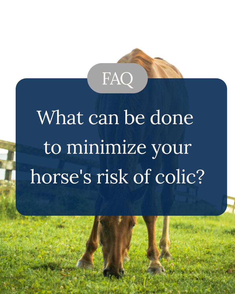 NovickDvm's tweet photo. Based on multi-year studies, Dr. Novick recommends having your veterinarian administer a deworming treatment twice a year during routine vaccinations, with a paste dewormer given by the owner every 2 months. #veterinarian #vetcare #equinecare #horses #horsecare https://t.co/Xl4kZyoukT