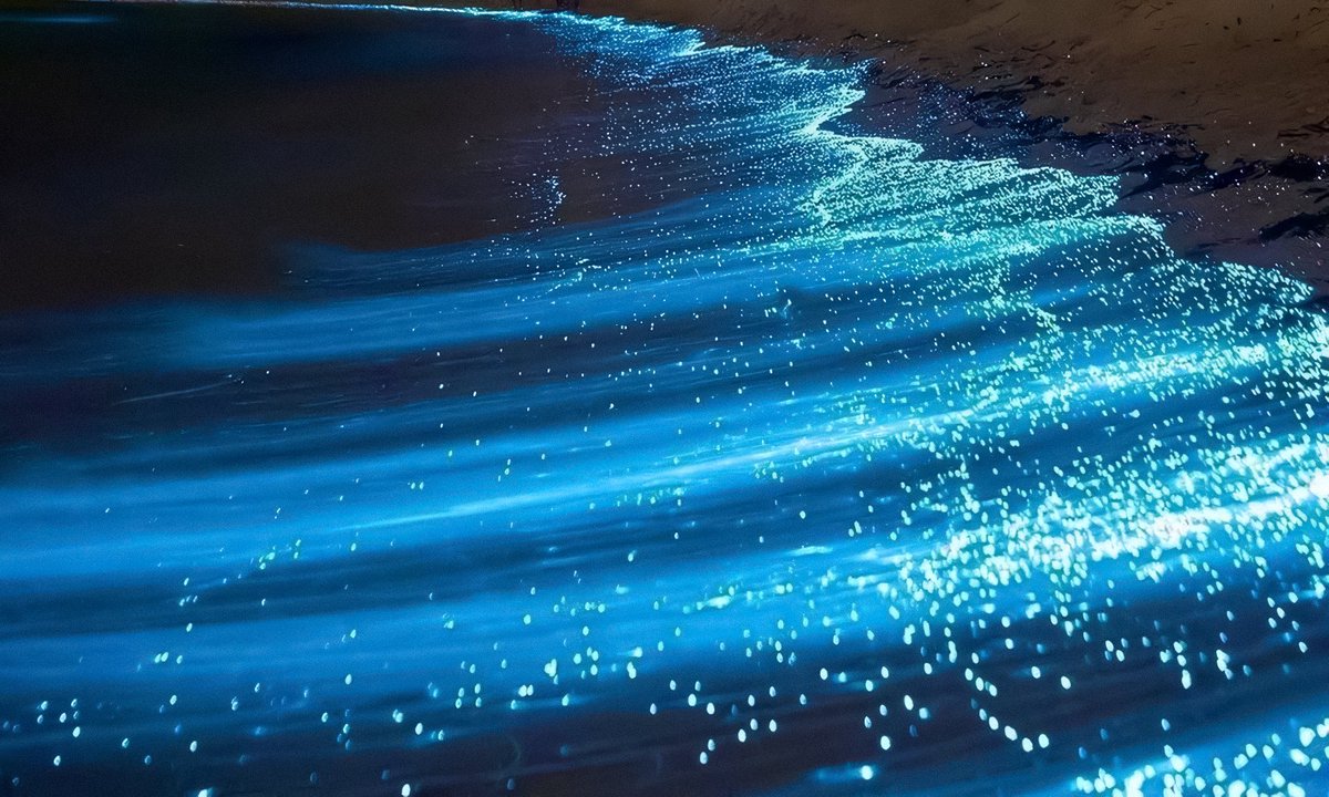 gardenofcolours's tweet photo. stars in the sea https://t.co/cALn1wUfkD