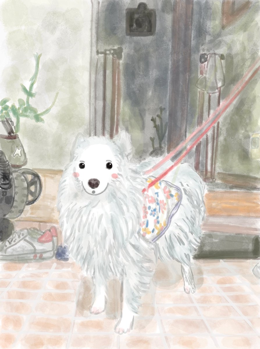 これからもイラストを見て頂けると嬉しいです