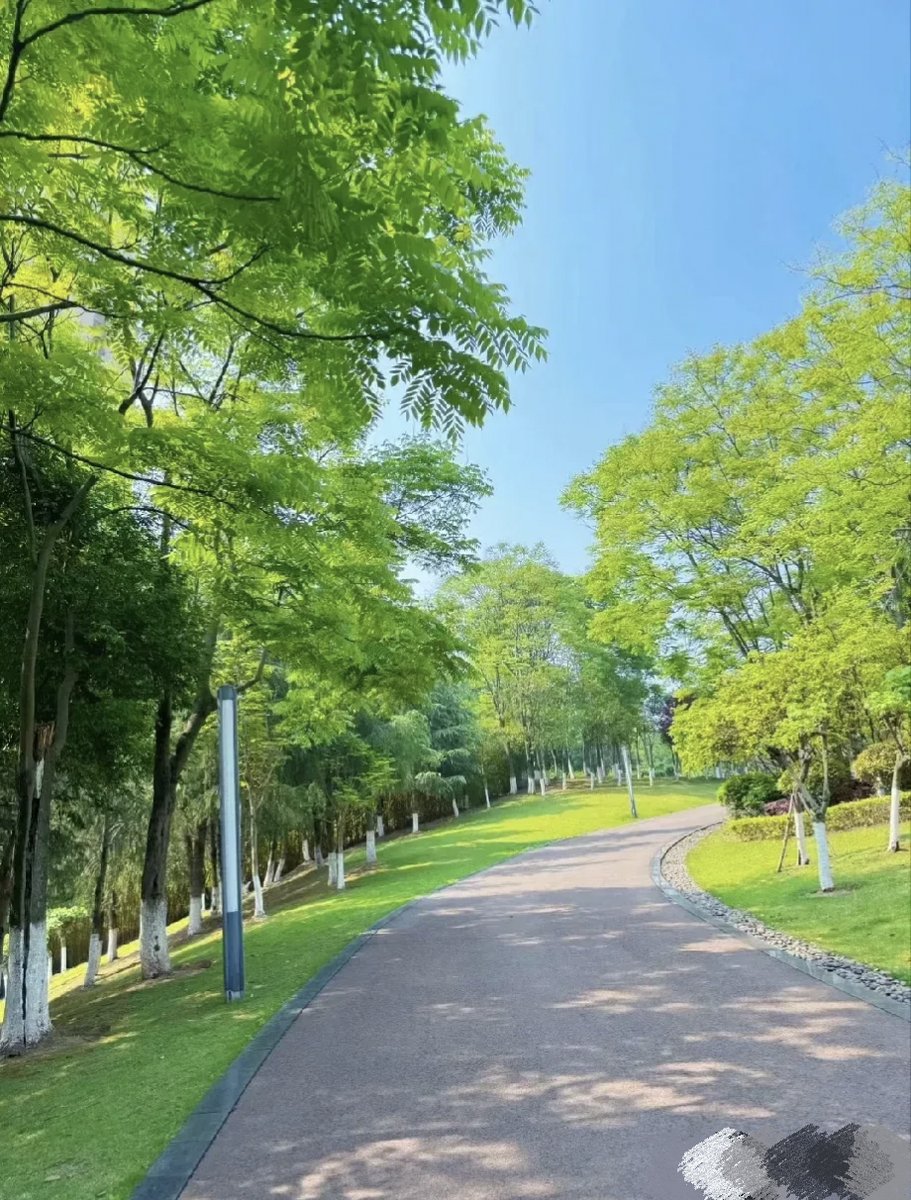 다인 tweet media