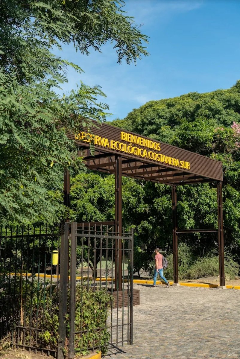 _maaichh's tweet photo. En plena Ciudad de Buenos Aires, la Reserva Ecológica Costanera Sur protege cientos de especies de aves, plantas y otros animales
Un espacio donde la naturaleza sigue teniendo lugar y nos recuerda la importancia de cuidar nuestros ecosistemas.
#ReservaEcológica #CostaneraSur https://t.co/AWptPZR1mk