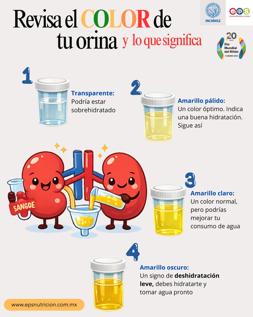 INCMNSZ_EPS's tweet photo. ¿Cuándo fue la última vez que revisaste el color de tu orina?

Puede sonar curioso, pero el color es un indicador vital y directo de tu salud renal. 

@incmnszmx @SSalud_mx 
#EPS #INCMNSZ https://t.co/HXi1mYpgTD