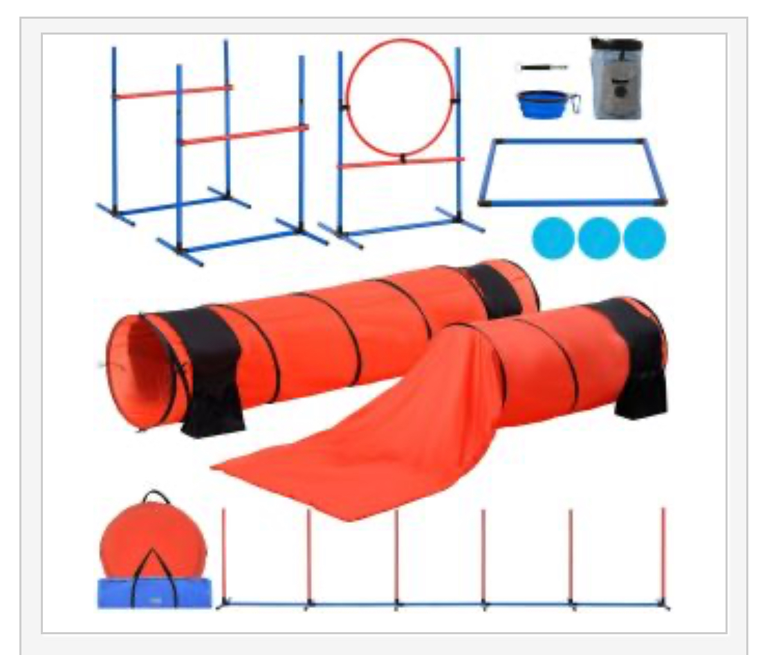 doghubusa's tweet photo. 🐾 Maddy &amp; Macy here! Agility play keeps us healthy, happy, and mentally sharp! ❤️ Check out the agility equipment at DogHubUSA and have some backyard fun with your best friend!

https://t.co/pMTlynwcQQ

#DogMomLife #RescueDogs #DogAgility #DogHubUSA https://t.co/Dwqjq98thX