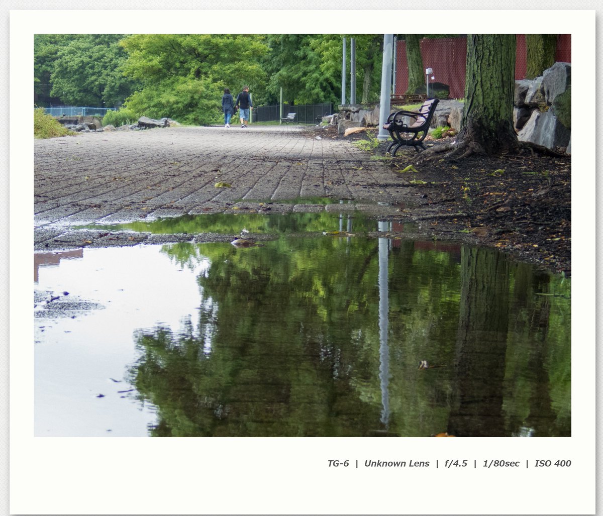 pcDNA3's tweet photo. 今日の散歩

途中からめちゃくちゃ風雨が強くなってきた
被写体もないので、TG-6で思いっきり寄ったりとか

Olympus TG-6 https://t.co/7OLDABEBbe