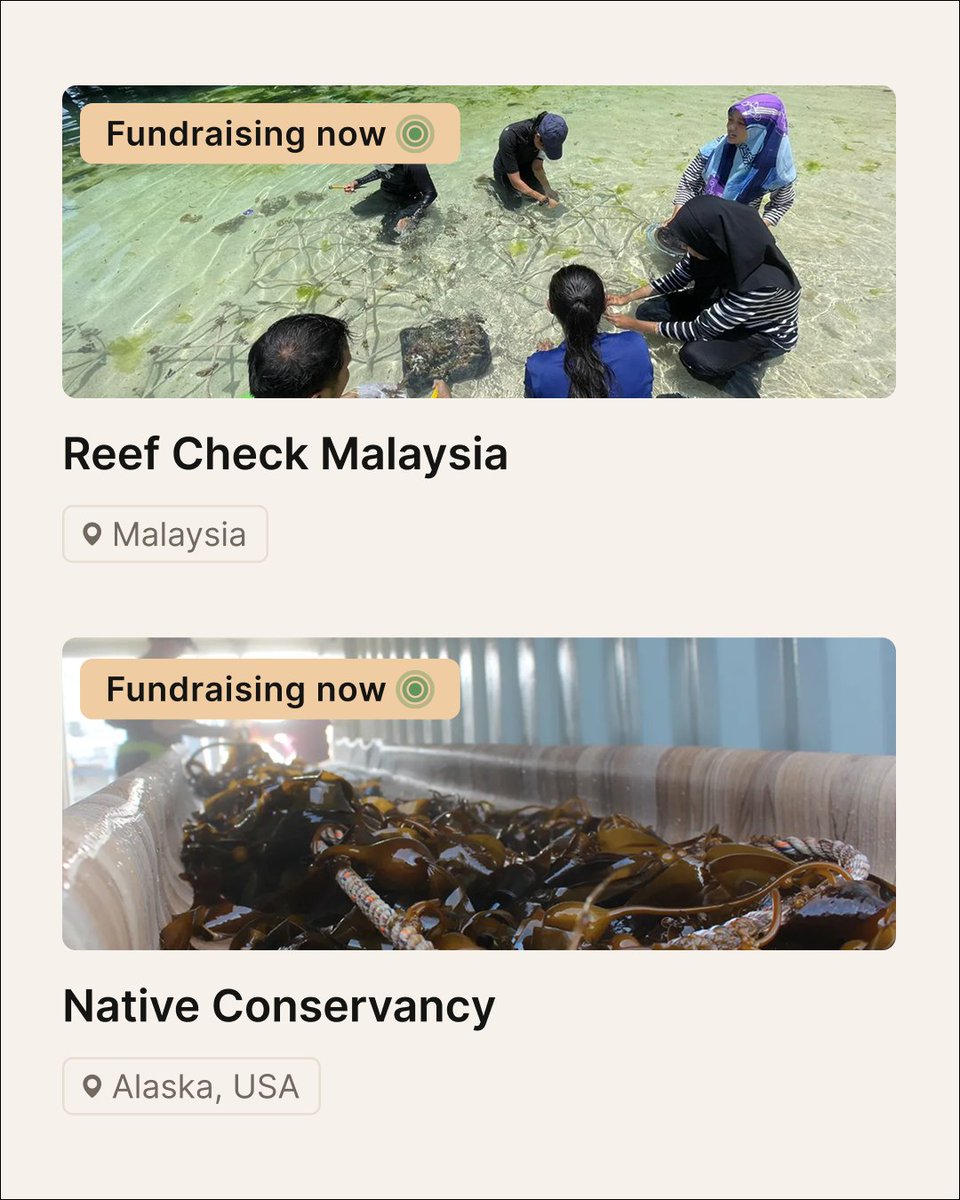 maearthstudio's tweet photo. In Malaysia, Reef Check Malaysia @ReefCheckMY leads community reef recovery at Mantanani.

In Alaska, the Native Conservancy @ConserveNative is replanting kelp forests through Indigenous-led nurseries. https://t.co/lbM3Z3sSp5