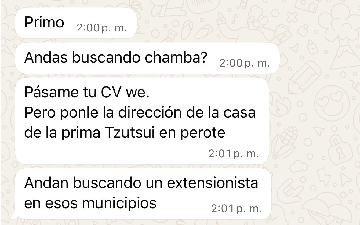 chapitojojo's tweet photo. Confirmando una vez más que yo no busco la chamba, la chamba me busca a mí https://t.co/W65dajgImW