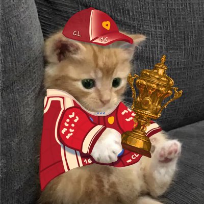heartclerc's tweet photo. in honor of charles leclerc our silverstone grand prix winner ♥️ #NewProfilePic https://t.co/zbXX3iytzi