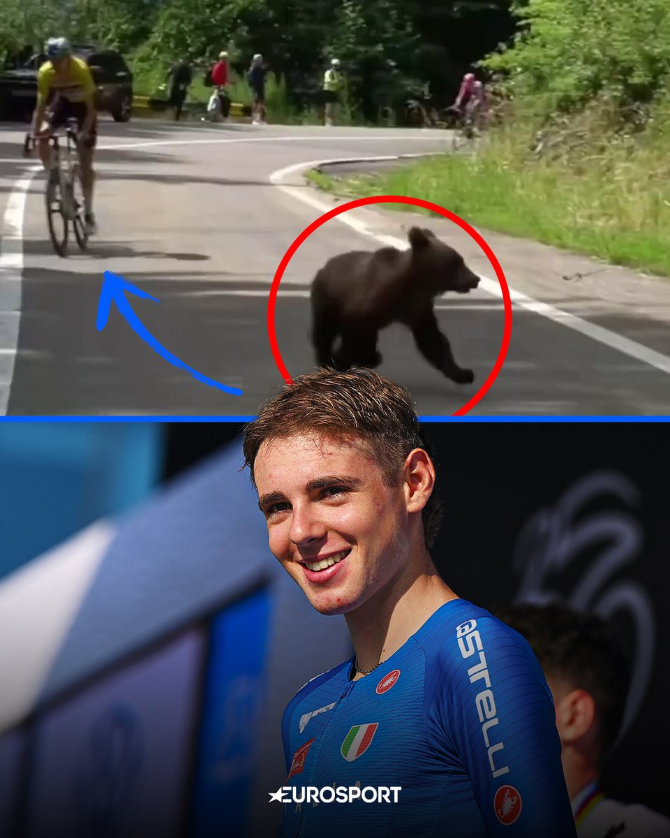 Eurosport_IT's tweet photo. Quando pensi di aver visto tutto in una tappa... arriva un cucciolo d'orso ad attraversarti la strada 🐻🚴🏻

È successo oggi a Lorenzo Finn, nel bel mezzo della terza tappa del Sibiu Tour, verso Bâlea Lac. 
Un attimo di stupore, poi l'orsetto è tornato tra gli alberi e Finn è tornato a fare quello che sa fare meglio: vincere.

Seconda vittoria consecutiva per il diciannovenne ligure, tra le montagne della Romania 🔥

#Ciclismo #SibiuTour #Finn