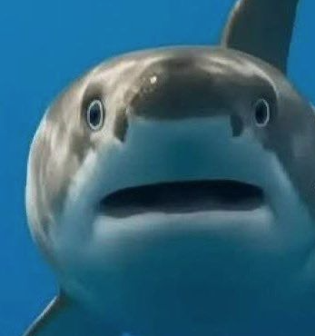 _Teslahh_'s tweet photo. Vtuber vs Species🦈 https://t.co/CFQAtlapTS