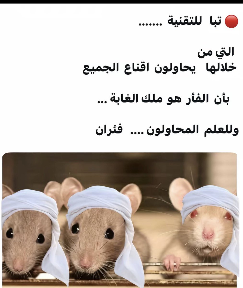 TeamAnadee's tweet photo. @marwan_aljaberi https://t.co/KNUEKGwp42