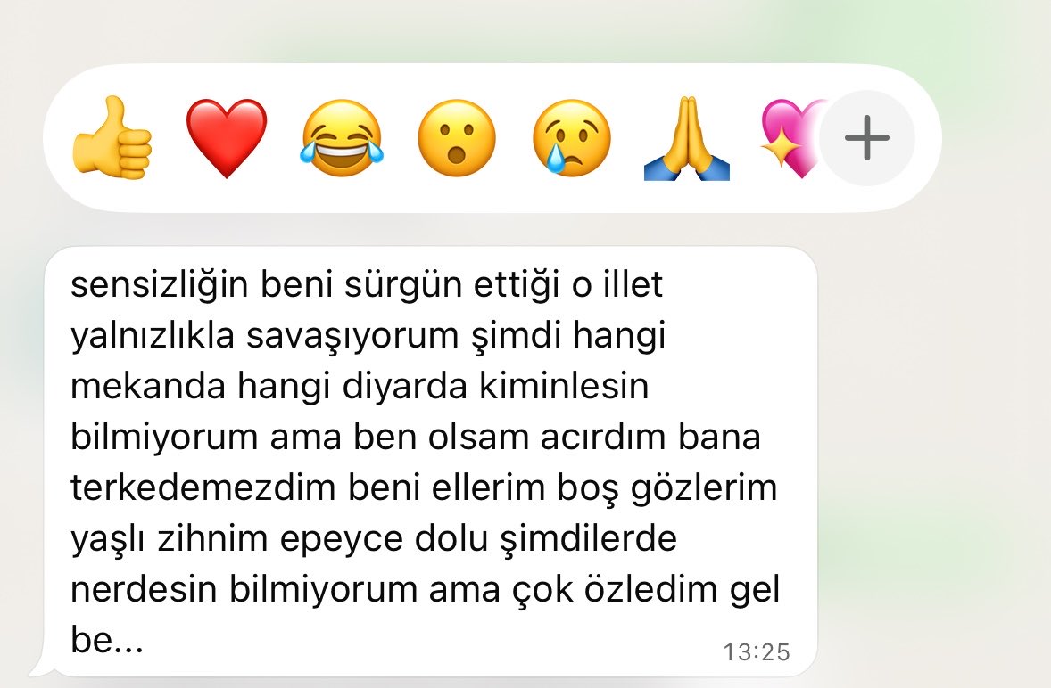 melidylic's tweet photo. 1 yeni mesaj https://t.co/SQ5obeykuz
