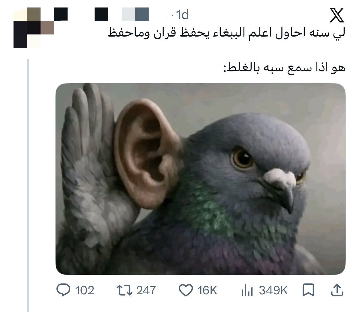 🌷 tweet media