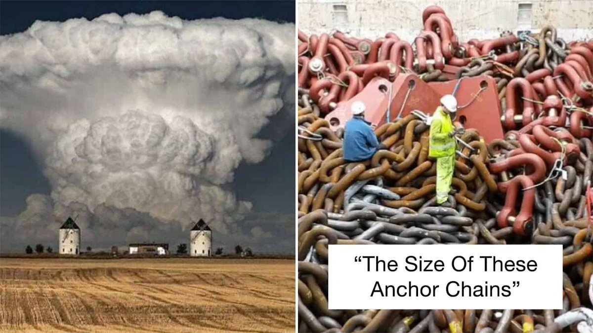 TFLN's tweet photo. 80 Photos That Will Put Your Megalophobia To The Test https://t.co/Il79qjWlcf https://t.co/PZAYd3PhtA