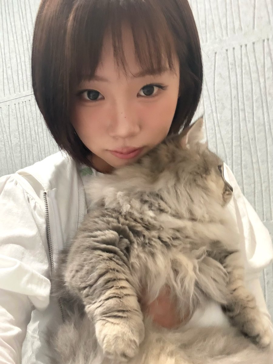 purki_p's tweet photo. Dosie IG update 

#PURPLE_KISS #DOSIE https://t.co/wCS0tIvNYL